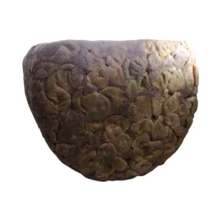 Figues séchées naturelles du Rif (Récolte 2025)